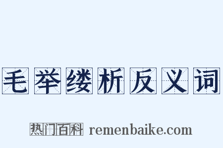 毛举缕析反义词是什么意思的图片
